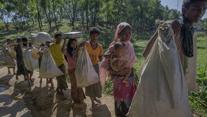 Rohingya_return_picture